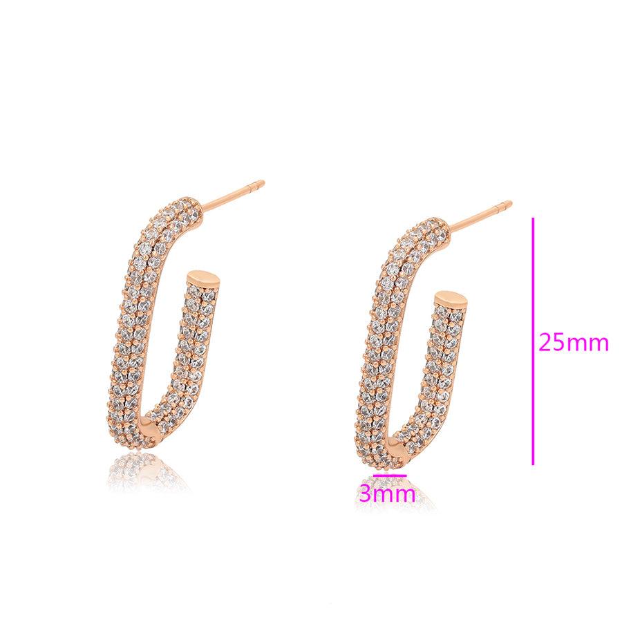 Dreamcatcher Dangles Earrings